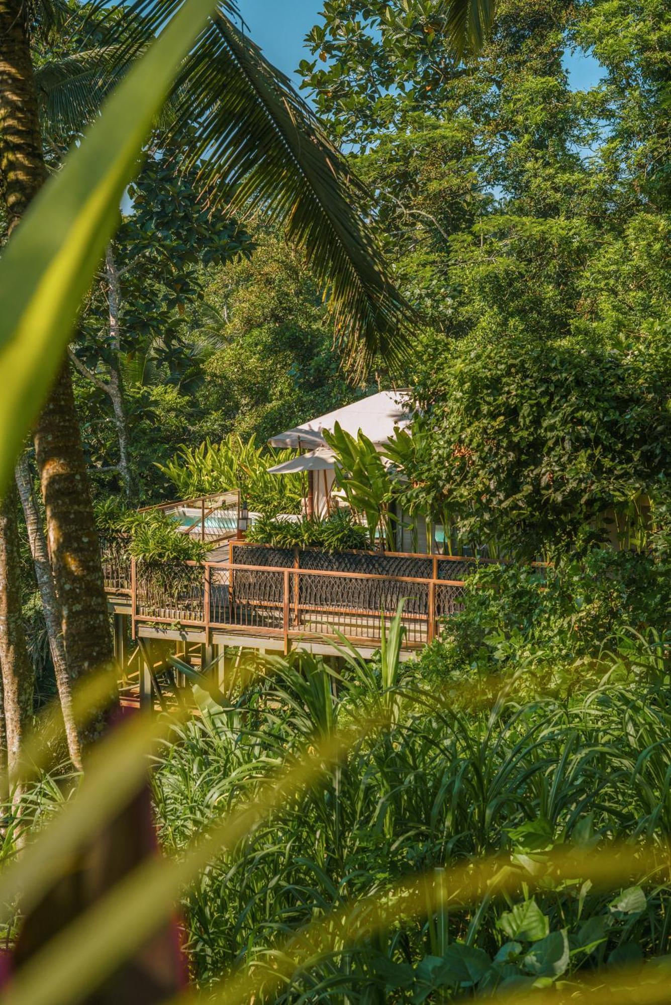 Kanva Ubud Tegallalang  Δωμάτιο φωτογραφία